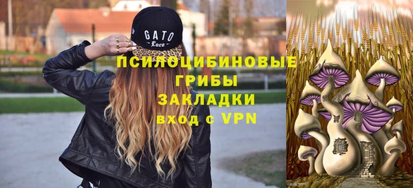 мяу мяу мука Алзамай