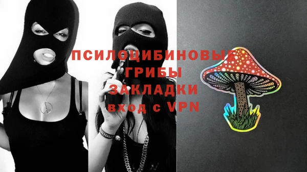 герыч Алексин
