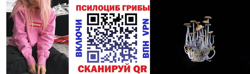 Псилоцибиновые грибы Magic Shrooms  Осинники 