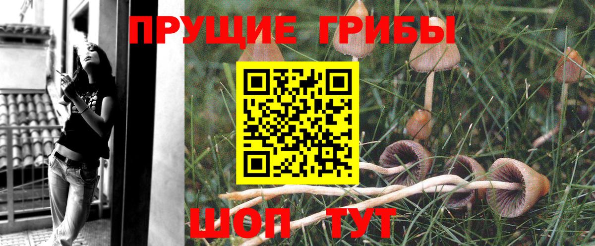 Осинники  Галлюциногенные грибы Magic Shrooms  Галлюциногенные грибы Magic Shrooms  Вход с VPN 